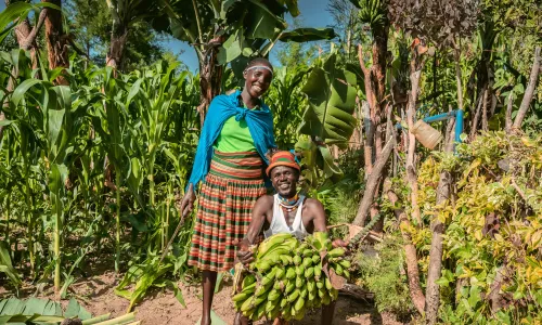 A man and a women with banana harvest, posing for a photo