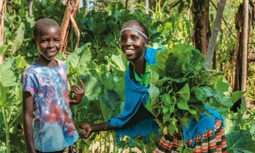 Woman and child harvesting leafy vegetables in a home garden
