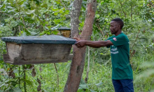 Zambian beekeeper with his beehive made of wood