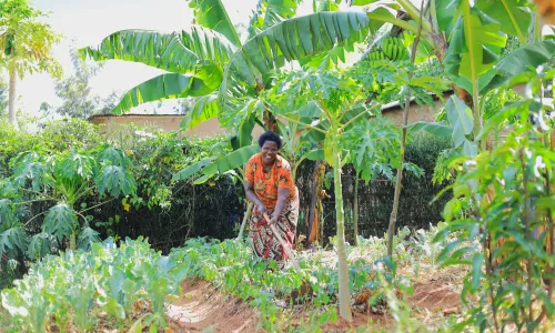 Rwandan woman, working in her thriving kitchen garden, looking at the camera smiling