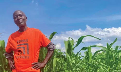 William standing in his field of maize