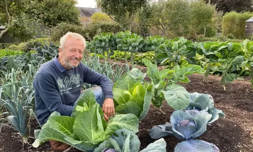 Charles lightly racking surface compost in early spring