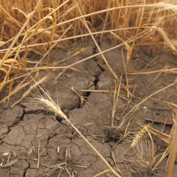 Degraded soil due to drought