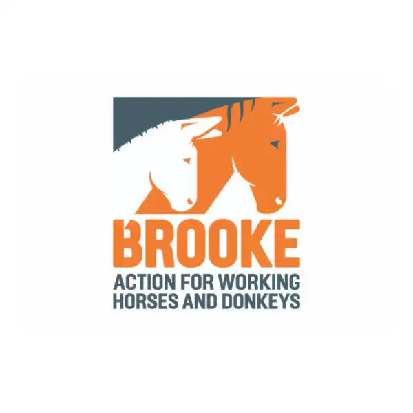 Brooke Action for Donkeys logo