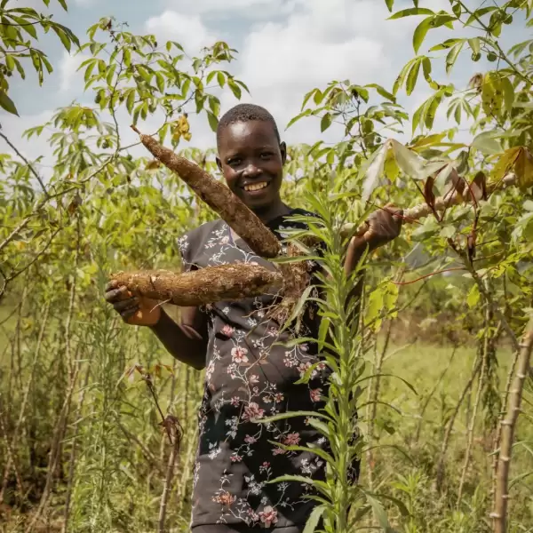 Florence Gori posing with cassava freshly harvested from her garden