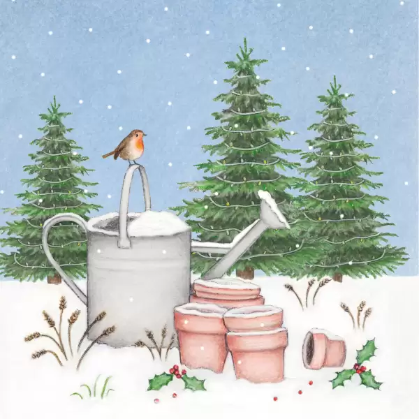 Watering Can Robin in snow Christmas Card