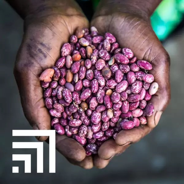 Beautiful beans charity gift