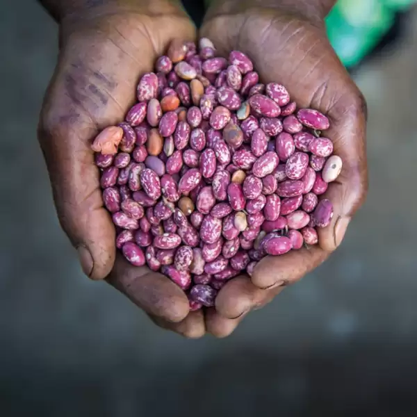 Beautiful beans charity gift