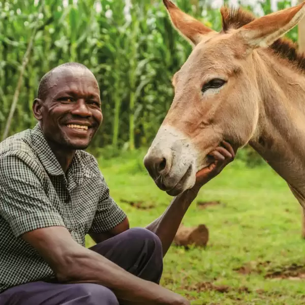 Send a Donkey charity gift