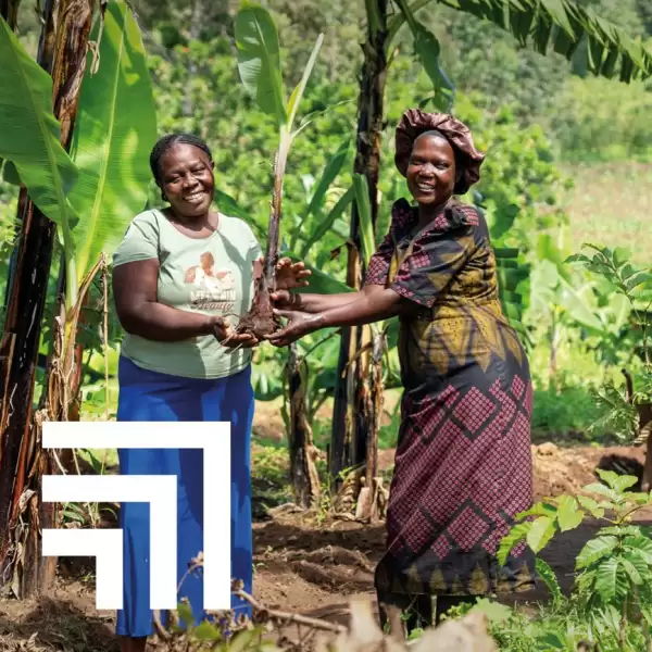 Ripple Maker charity gift