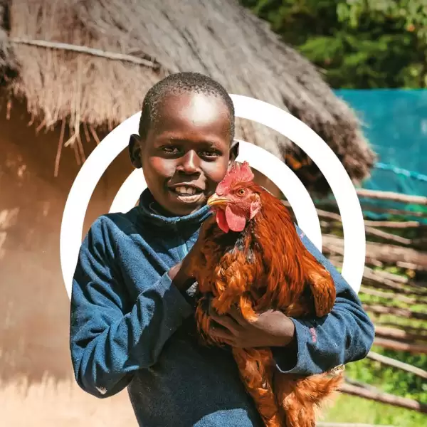 Cool Cockerel charity gift