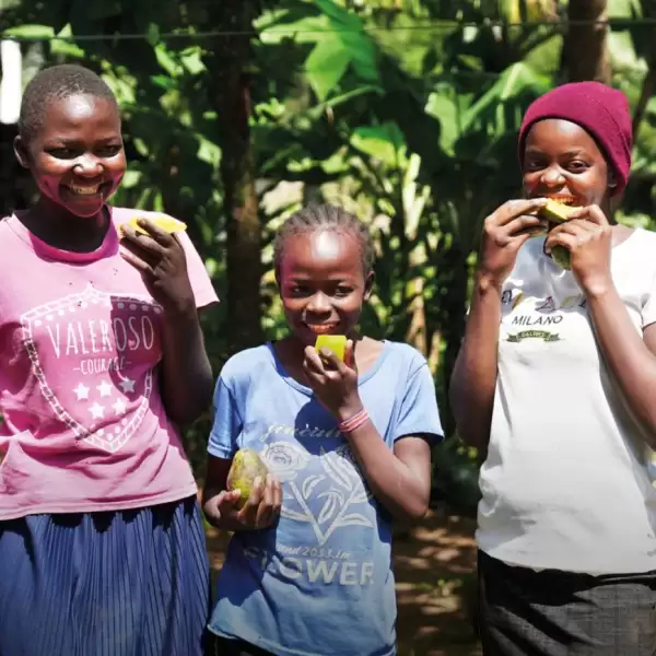 Rainbow Plate charity gift