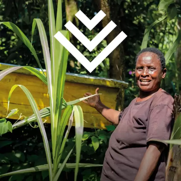 Bee environmental charity gift