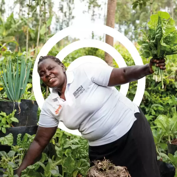 Regreen a garden charity gift