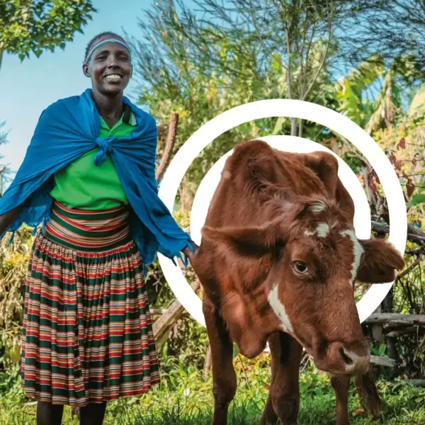 Send a cow virtual charity gift