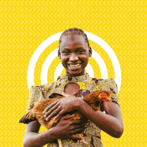 Chirpy Chicken charity gift