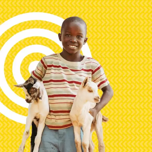 Send a Goat charity gift