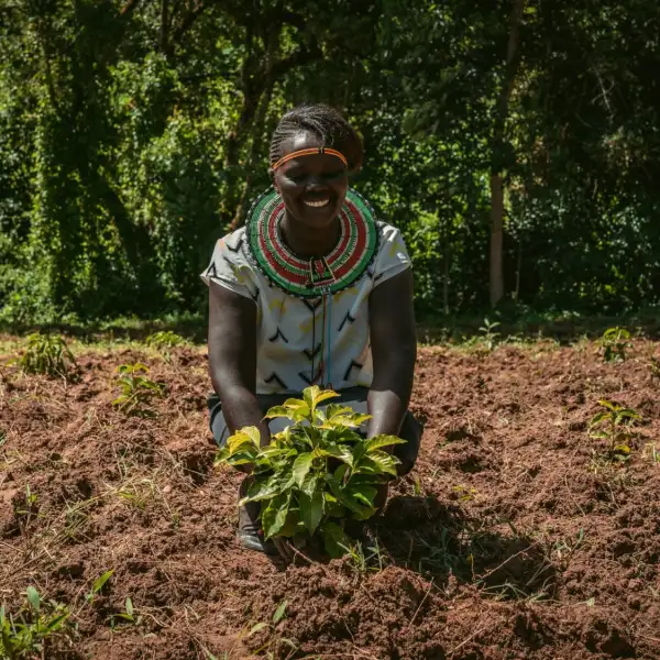 Priscillah, a Kenyan farmer, with her new coffee tree crop in her field