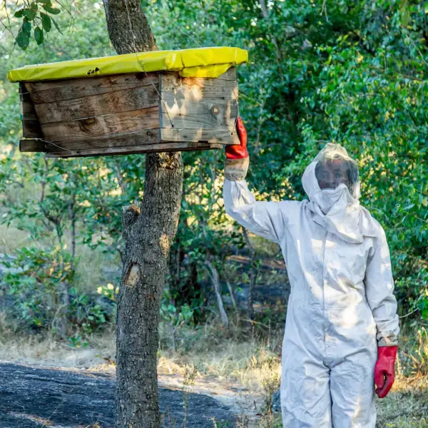 Grace, a Zambian farmer, posing by her beehive