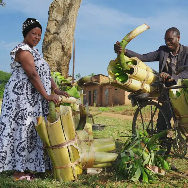 Phoebe with her banana produce before loading it onto the bicycle that transports it to the market