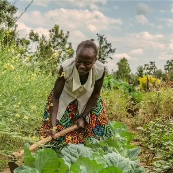 Sustainable agroecology in Africa