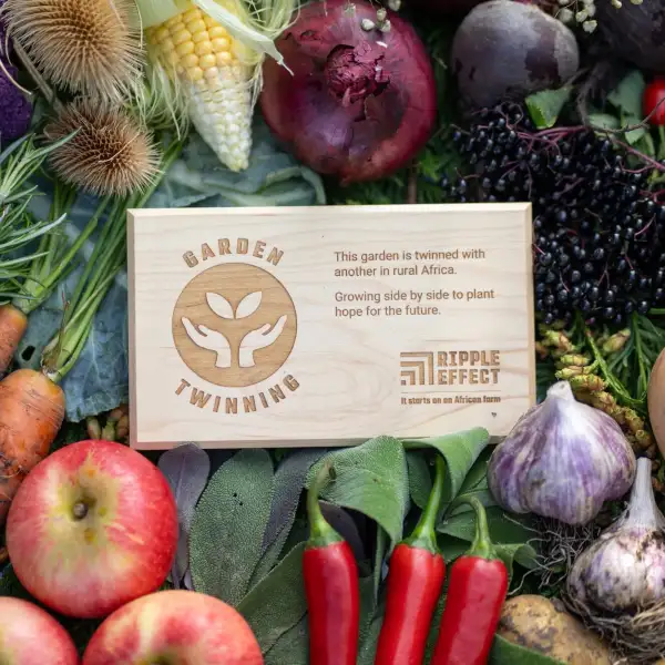 A Garden Twinning plaque surrounded by a variety of crops such as apples, corn, butternut squash, chillies, garlic and more.