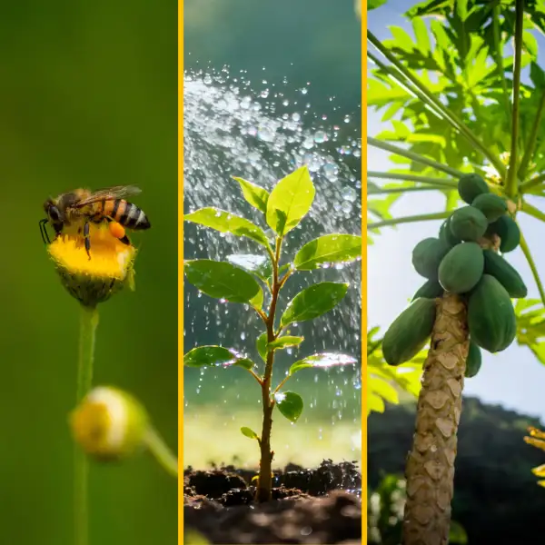 Healthy Ecosystems charity gift bundle (bees, water, trees)