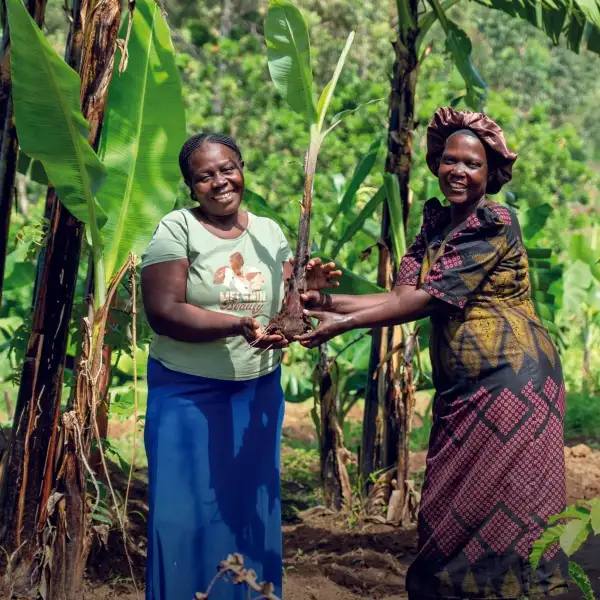 Two women holding a banana suckling
