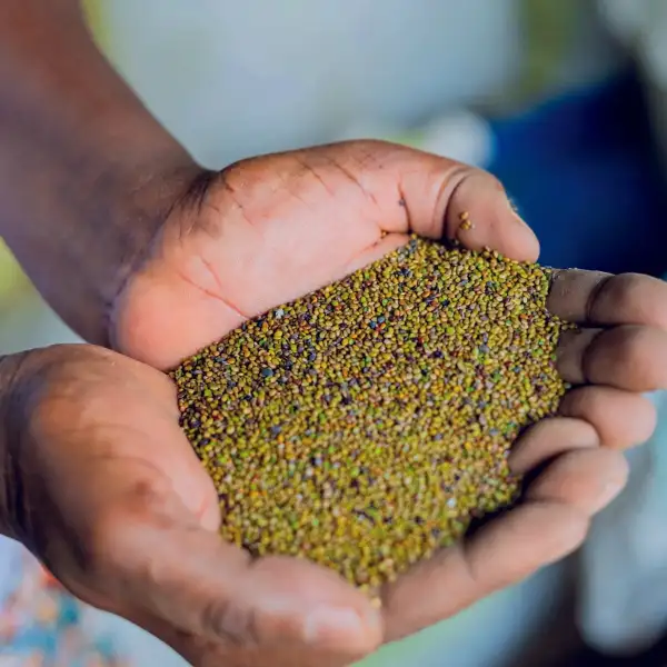Super-Strong Seeds charity gift