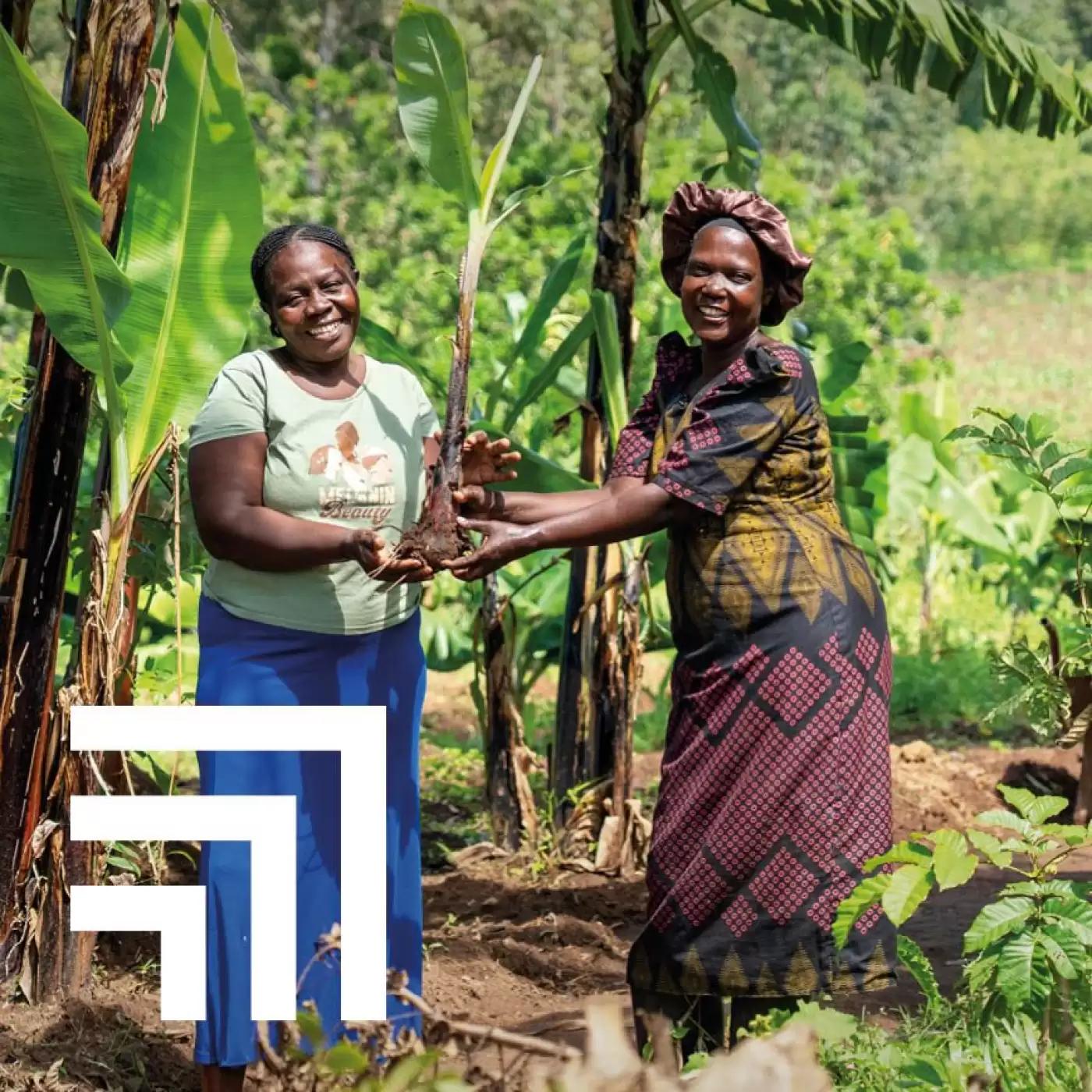 Two Ripple Effect farmers celebrating