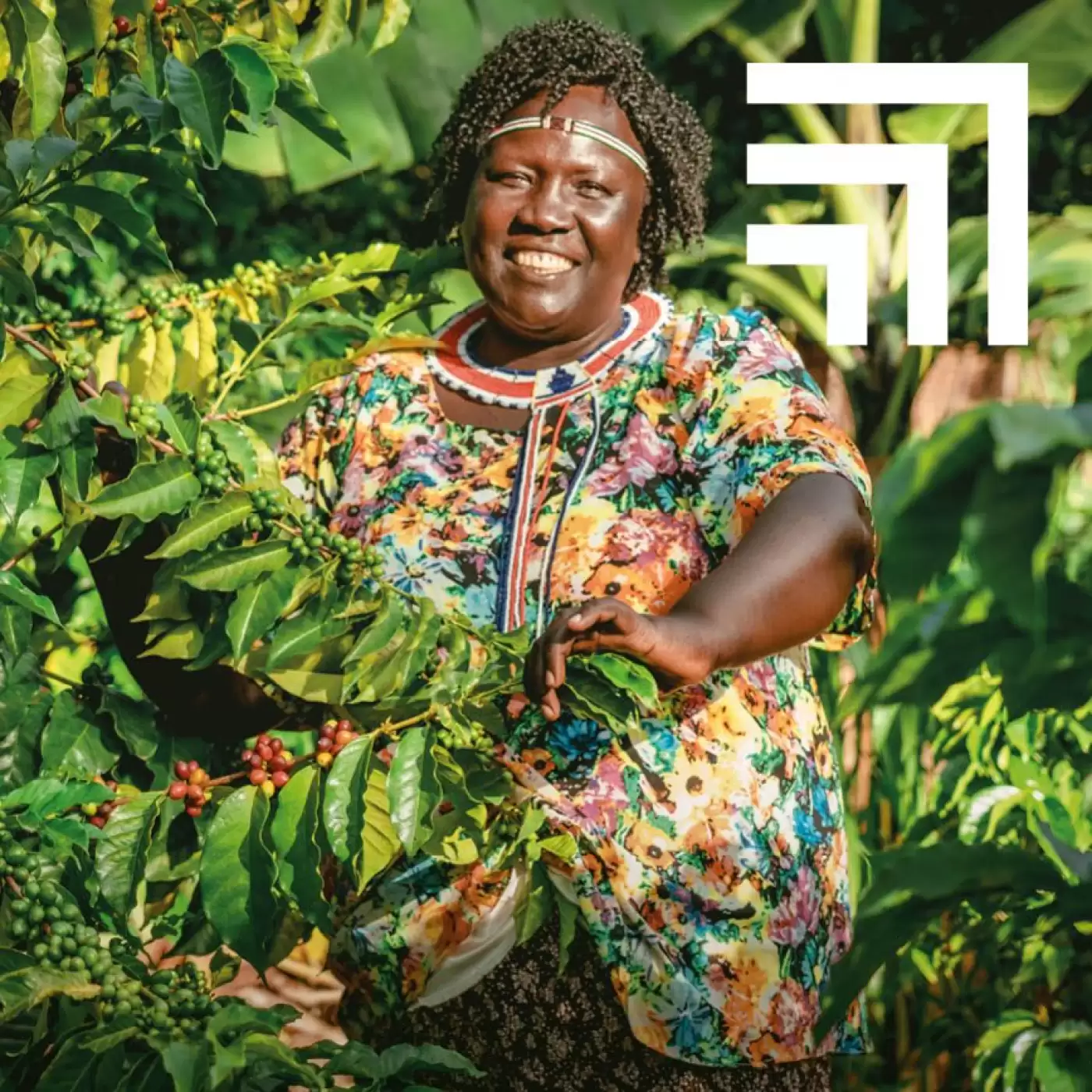 Woman standing with her coffee tree