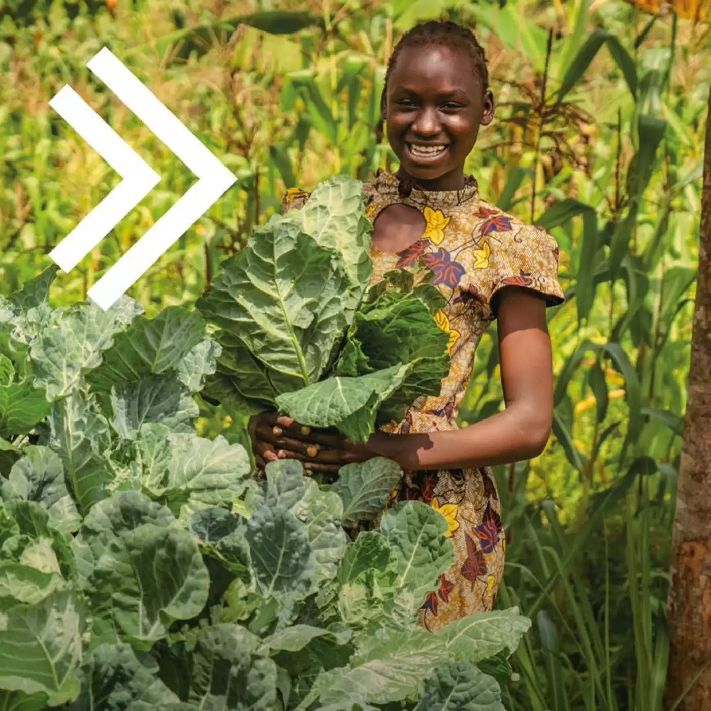 Ripple Effect farmers tending to their vegetable patch