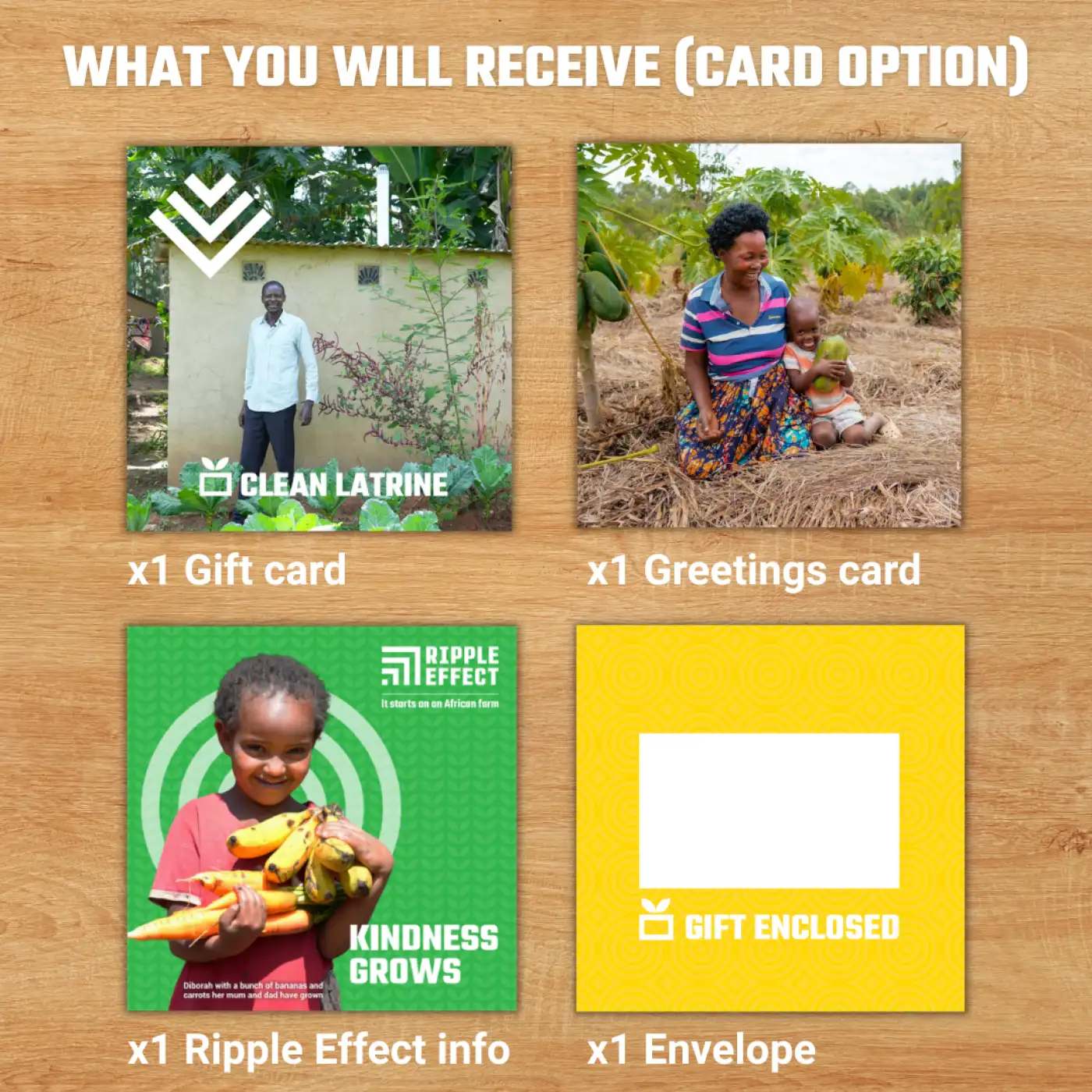 Flat lay of the Clean Latrine charity gift