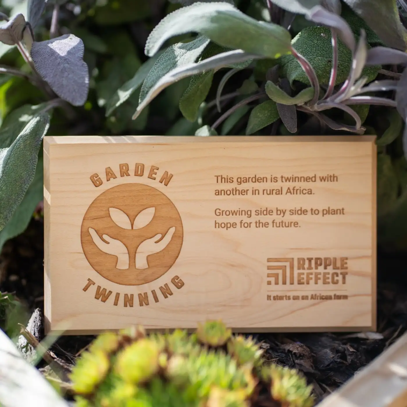 Garden twinning plaque on a fence