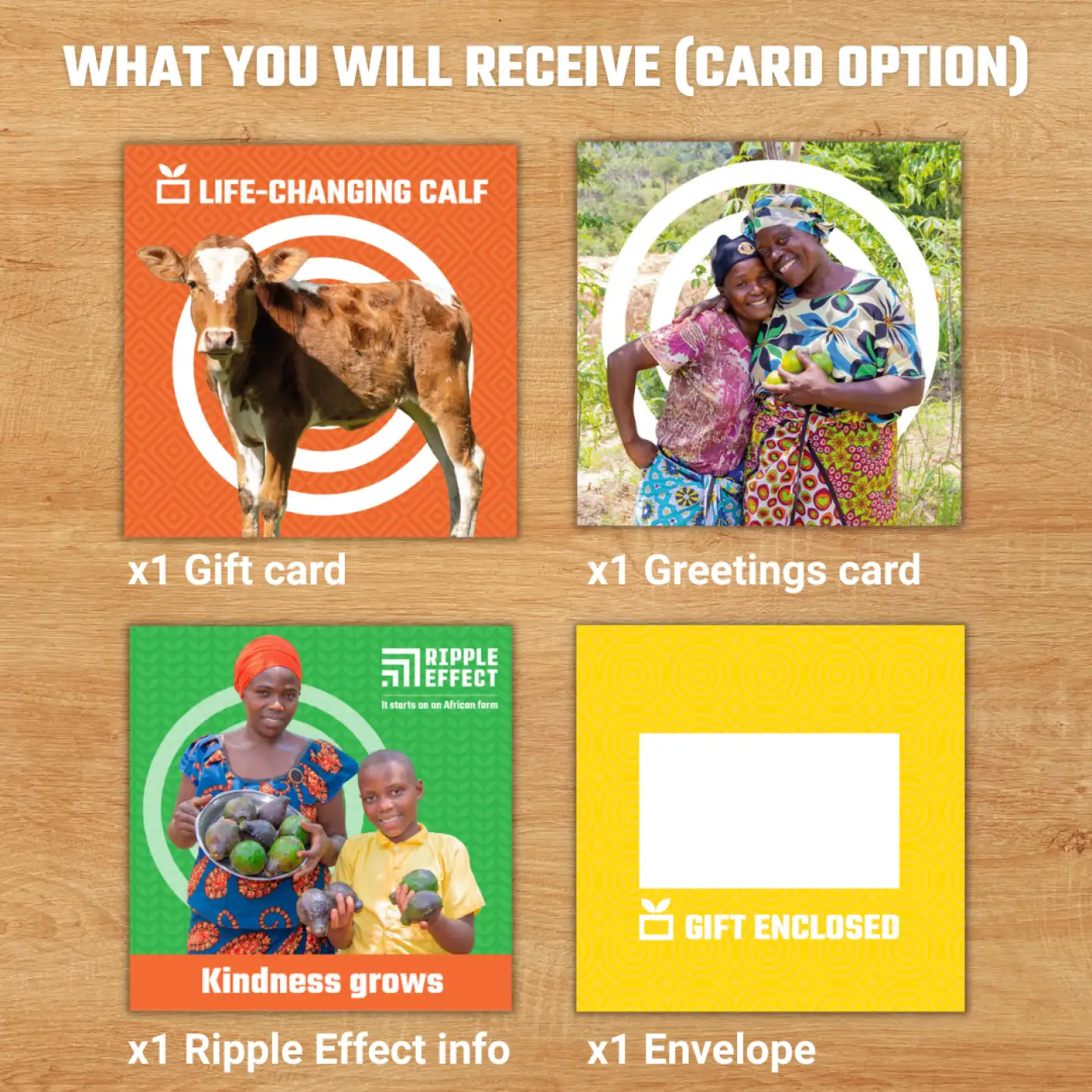 Flat lay of the life-changing calf charity gift pack