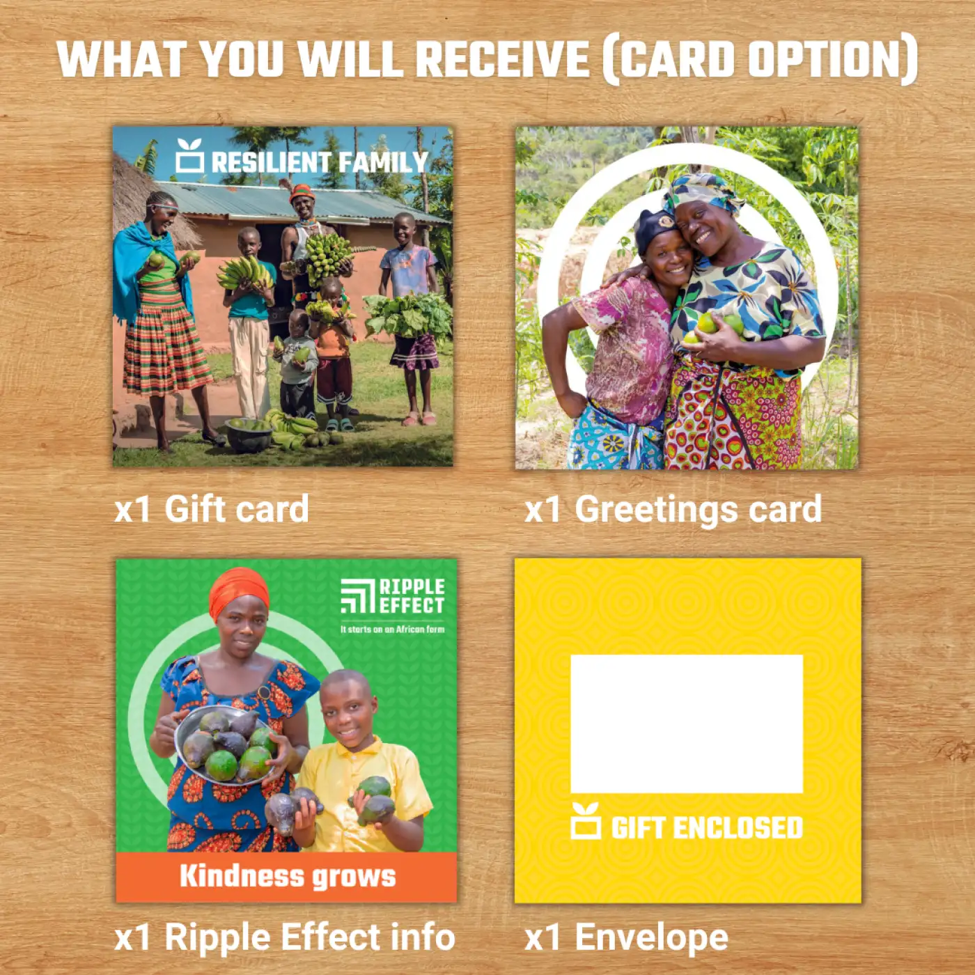 Flat lay of Resilient Family charity pack