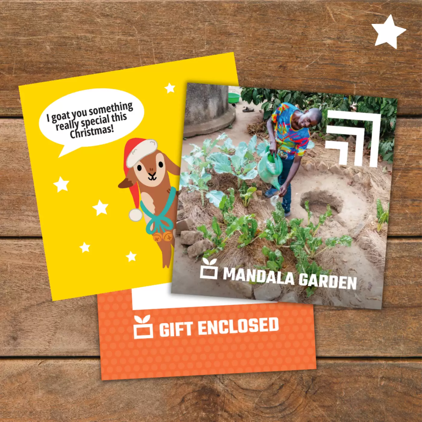 Flat lay of Mandala Garden gift pack