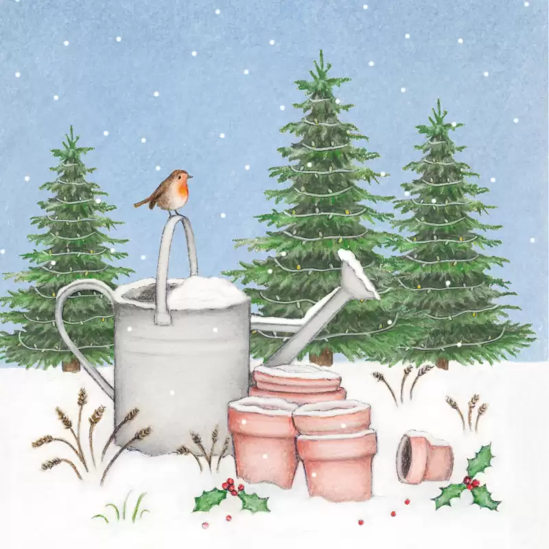 watering can robin in snow christmas card