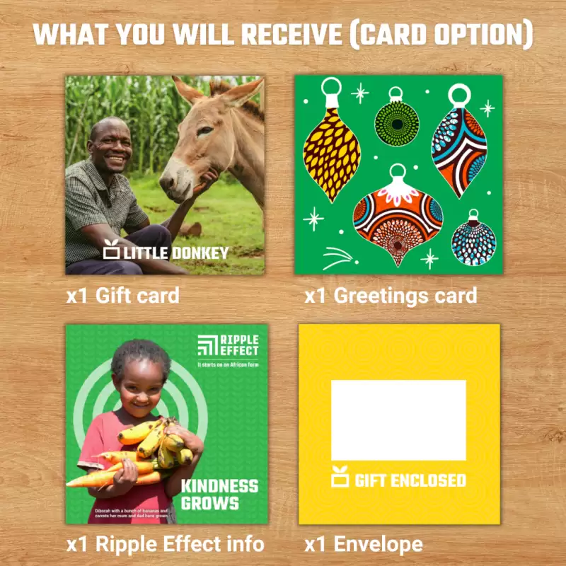 Little Donkey gift pack