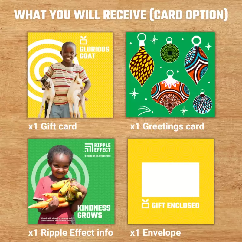 Flat lay of the Glorious Goat charity gift pack