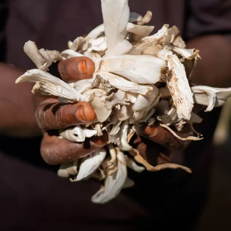 Ripple Effect farmer with her crop of mushrooms