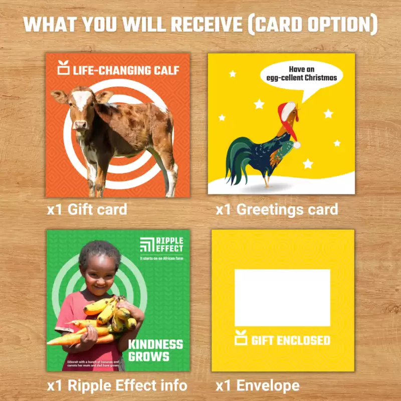 Flat lay of the life-changing calf charity gift pack
