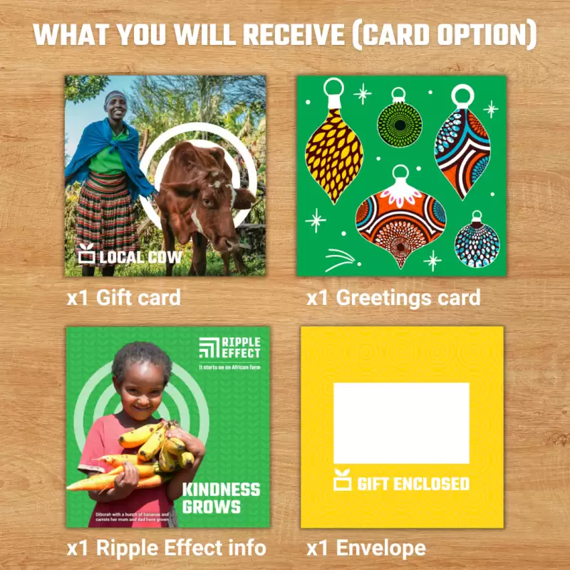 Flat lay of the local cow charity gift pack