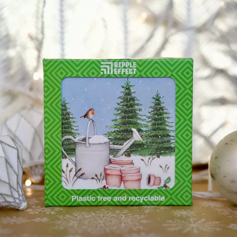 Charity christmas card pack, plastic free