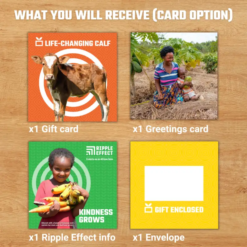 Flat lay of the life-changing calf charity gift pack