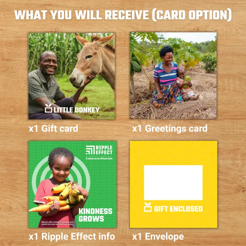 Little Donkey gift pack