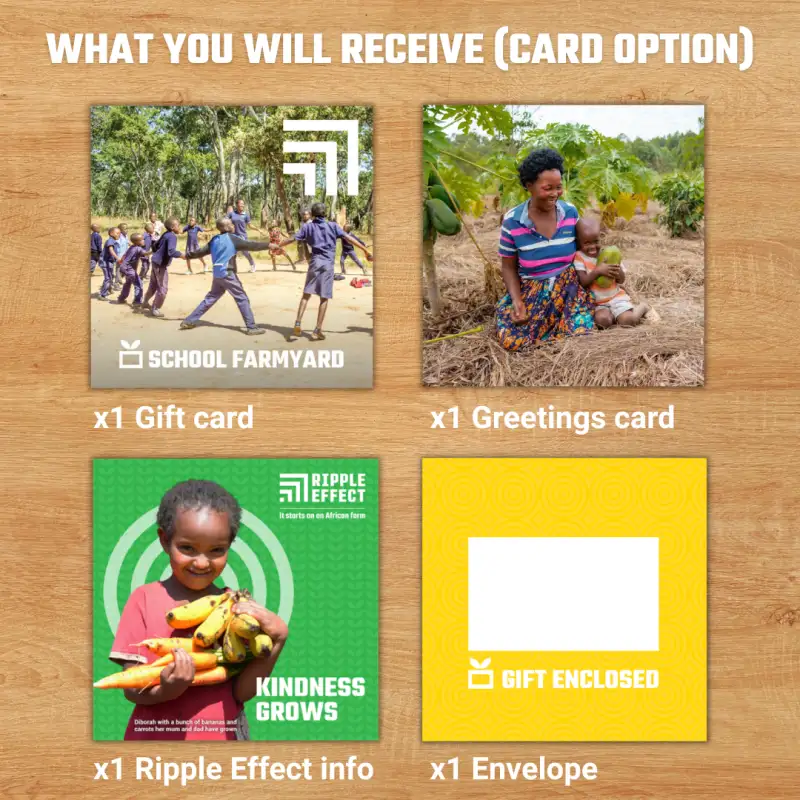 Flat lay of a Ripple Effect charity gift pack