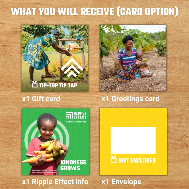 Flat lay of Tip-Top Tip Tap gift pack