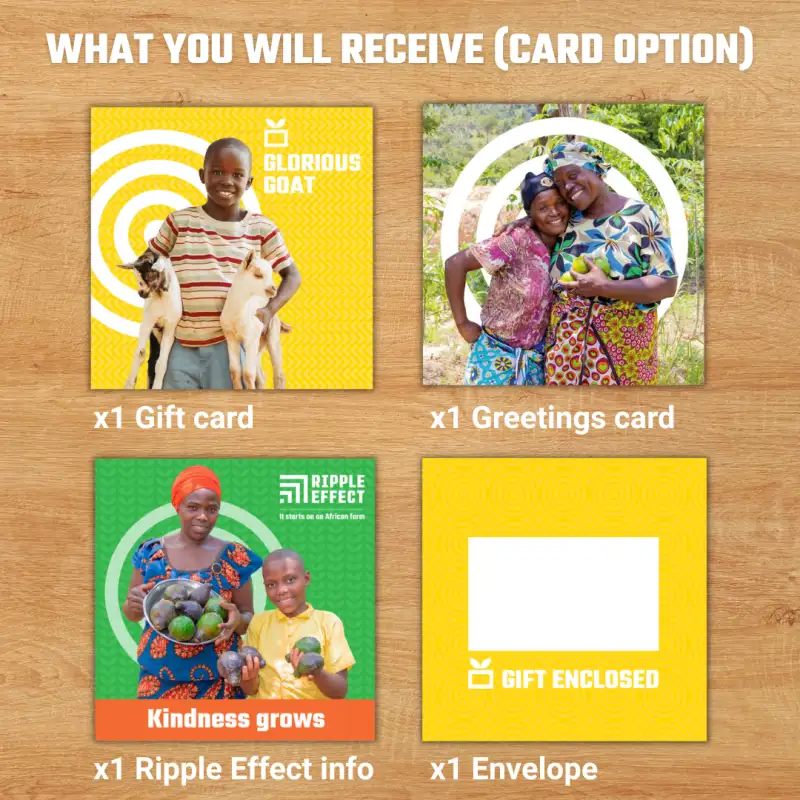 Flat lay of the Glorious Goat charity gift pack