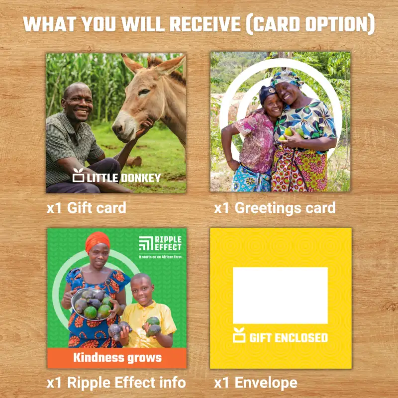 Little Donkey gift pack